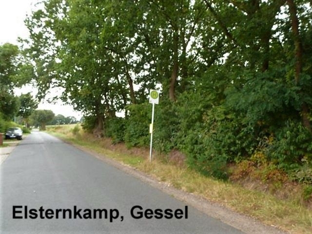185-15_Elsternkamp.jpg